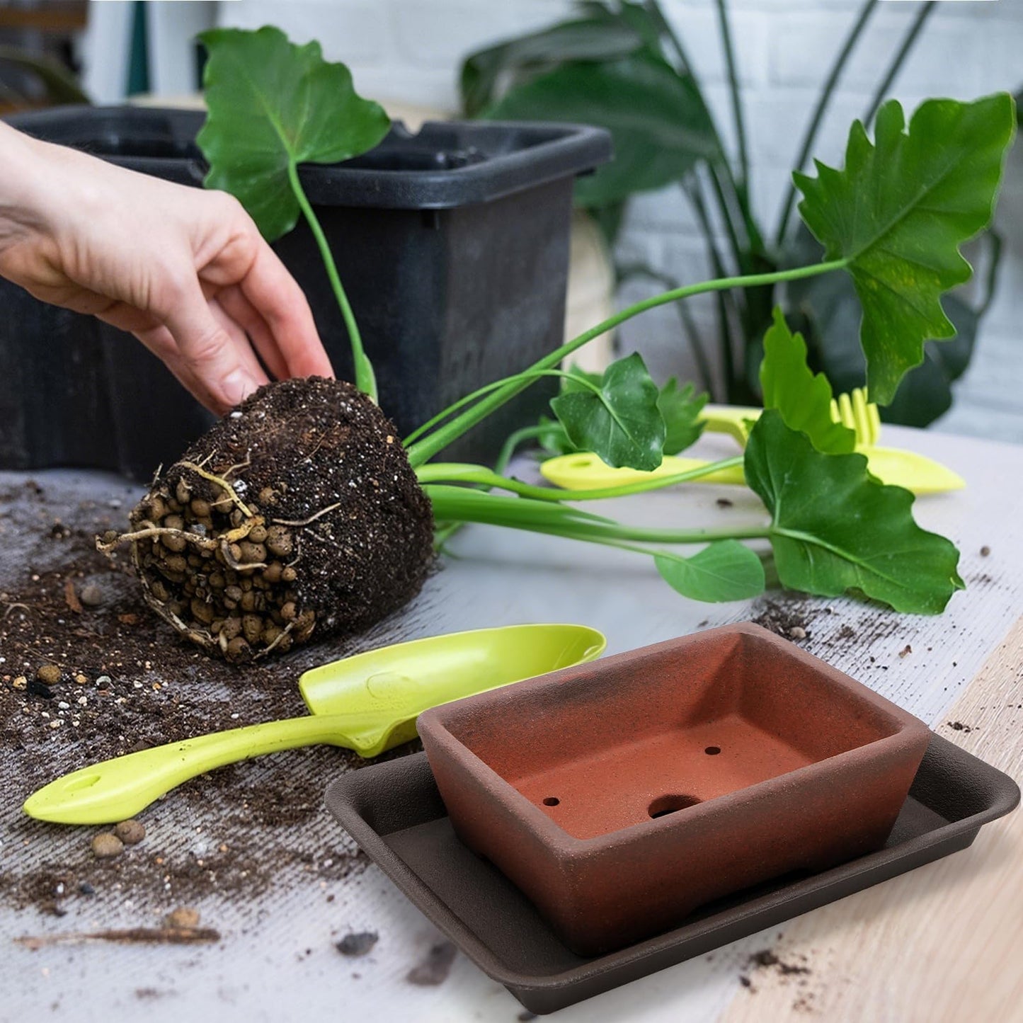 ELFULLY 2 Pack Ceramic Bonsai Pots with Drainage Tray, 6" and 7" Unglazed Rectangle Bonsai Tree Planters, Bonsai Training Pots, Succulent Cactus Planter with Drainage Hole for Outdoor Indoor, Brown