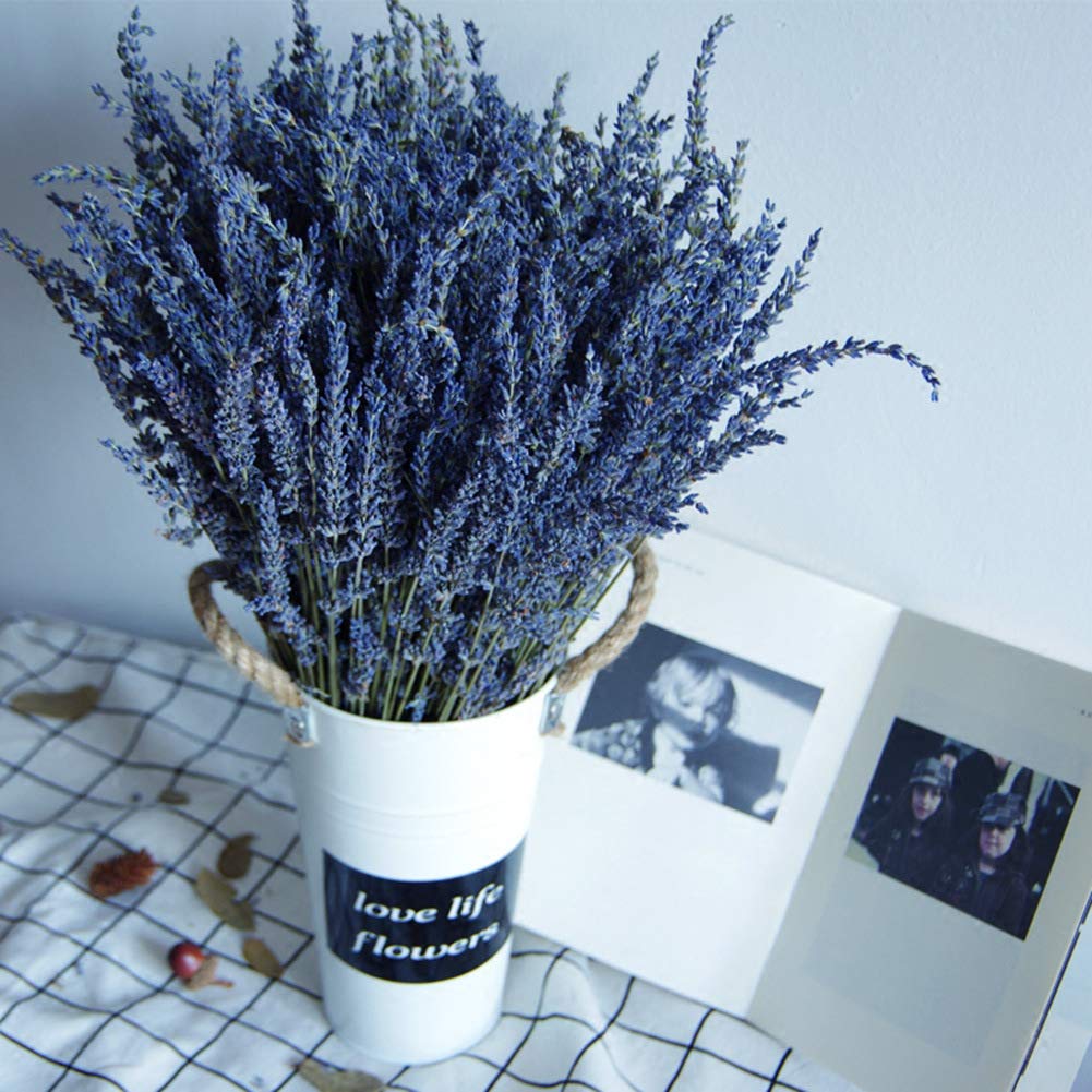 TooGet Natural Lavender Bundles, Freshly Harvested 400+ Stems Dried Lavender Bunch 16" - 18" Long, Decorative Flowers Bouquet for Home Decor, Crafts, Gift, Wedding or Any Occasion