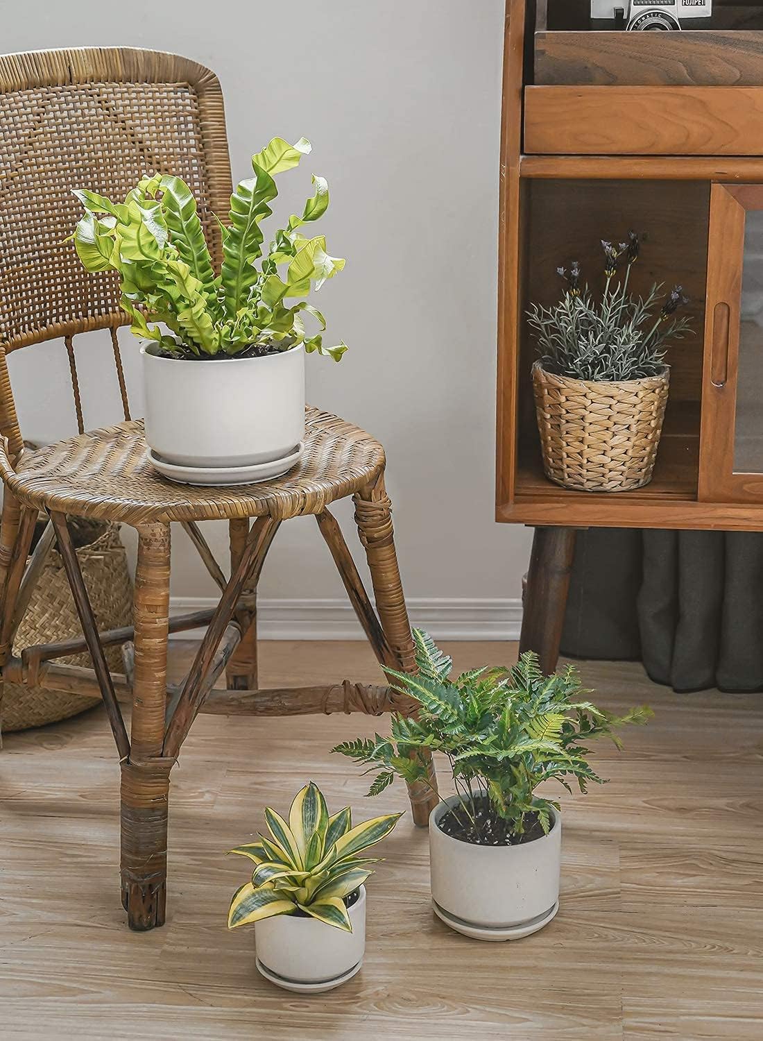 LE TAUCI Ceramic Pots for Plants, 6.8 Inch Plant Pots with Drainage Hole & Saucer, Modern Planter for Indoor Plants, Stable & Durable, Perfect for Living Room or Office Decor, White
