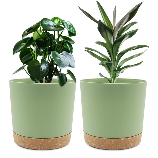 QCQHDU 8 inch Plant Pot, 2 Pack Planters for Indoor Plants with Drainage Holes & Saucer, Outdoor Flower Pots Home Garden Modern Decor