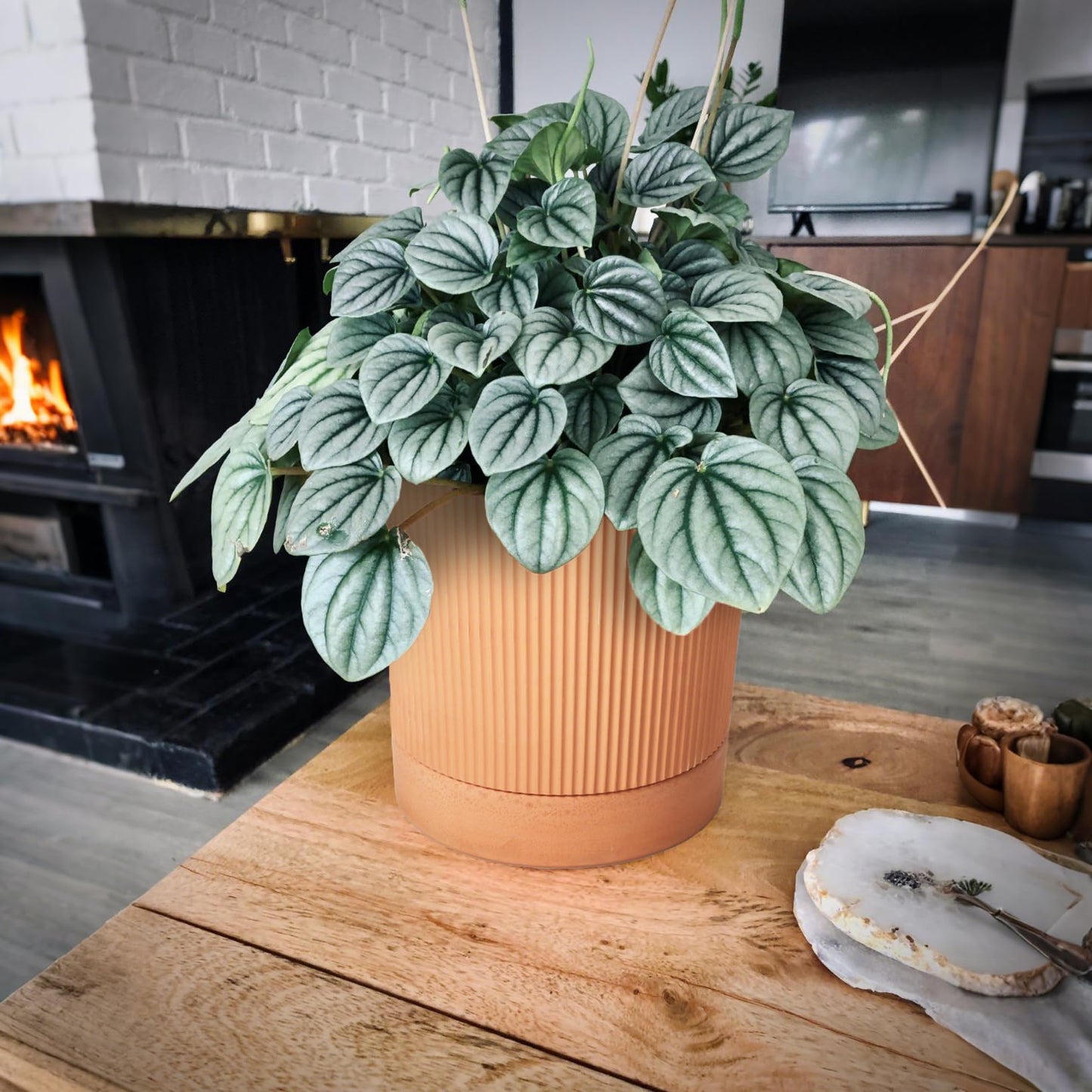 HERDUK Modern Terracotta Pots, 6 Inch Ribbed Textured Clay Planter Pots with Drainage Hole & Saucer, Garden Pots for Indoor/Ourdoor Plants, Succulent Cactus & Herb