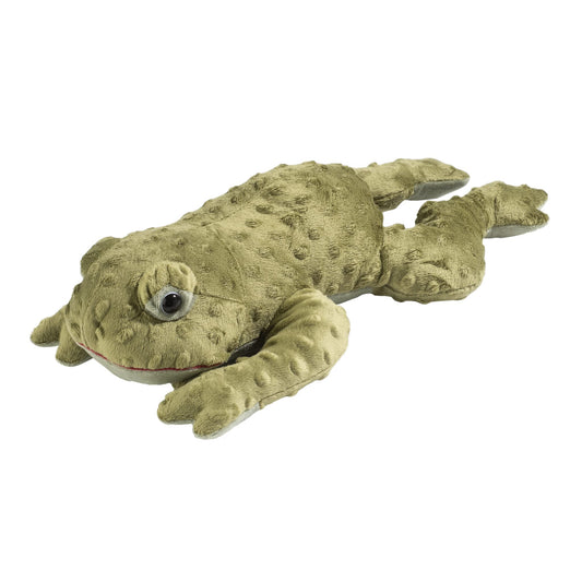 Sonoma Lavender Microwaveable Aromatherapy Pillow, Plush Freddy The Eucalyptus Tree Frog, Eucalyptus Scented with Removable Washable Cover
