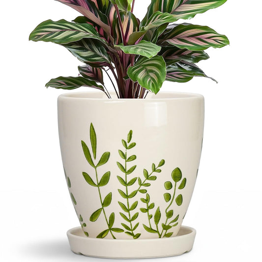 MPotTo Ceramic Pots for Plants - 6 Inch Plant Pot for Indoor Outdoor Plants, Ceramic Planter with Drainage Hole and Saucer, Decorative Round Planter, Gifts for Plant Lovers, Home Room Decor, White