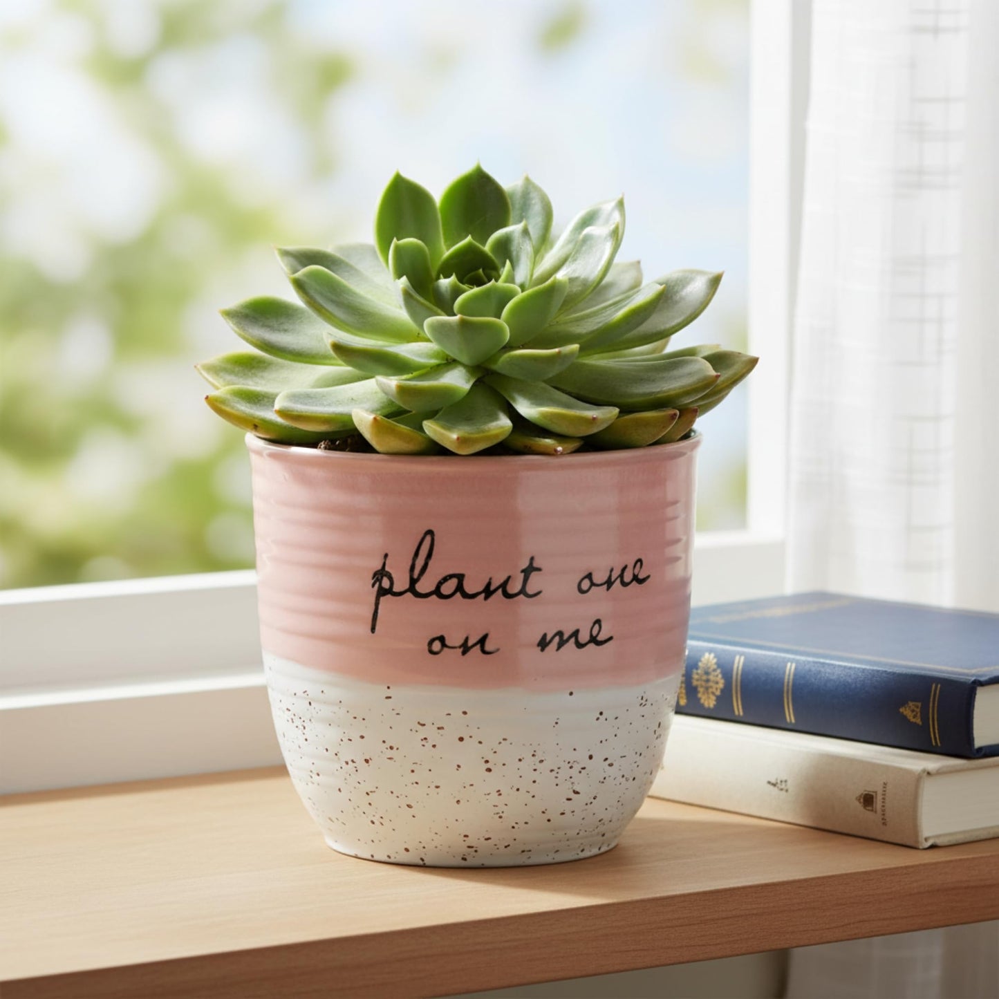 Blue Sky Clayworks Patricia 5" Flower Pot, Ceramic, 6" D x 5" H, Blush Script & Speckles