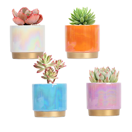Gepege Succulent Pots for Plants, Succulent Planter with Drainage Holes, Ceramic Pot for Indoor Plant, Set of 4