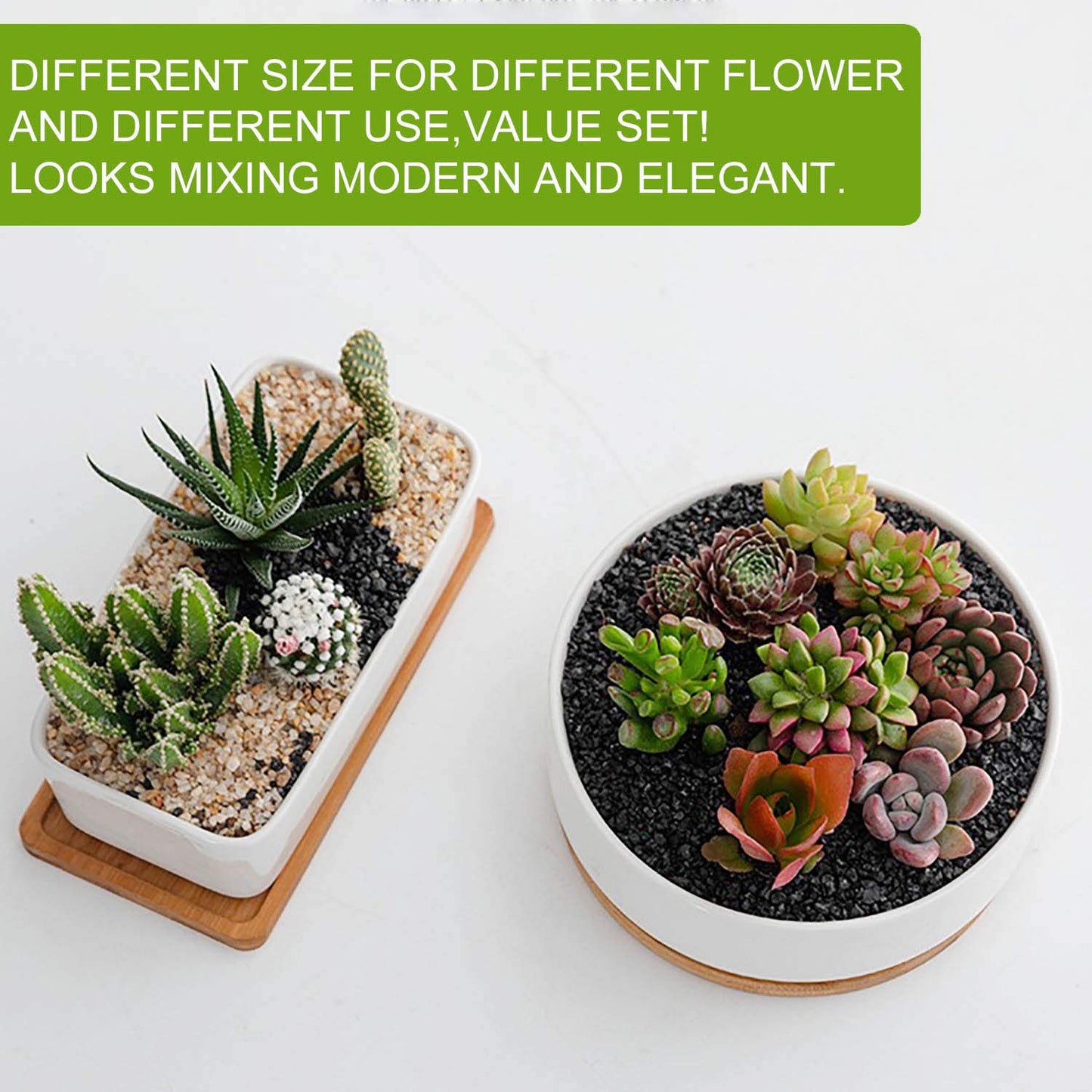 DeeCoo Succulent Pots, White Ceramic Flower Succulent Planters Pot with Bamboo Tray, 1 Rectangle Flower Pot + 1 Round Flower Pot 6.5" Drainage Hole for Cactus