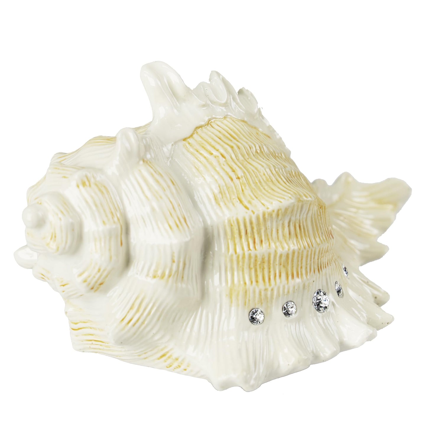 Mr.Winder Conch Shell Music Box Plays You are My Sunshine, Ocean Theme Gift for Wife Husband Daughter Grandma Sister Gifts for Birthday Anniversary Christmas Musical Box