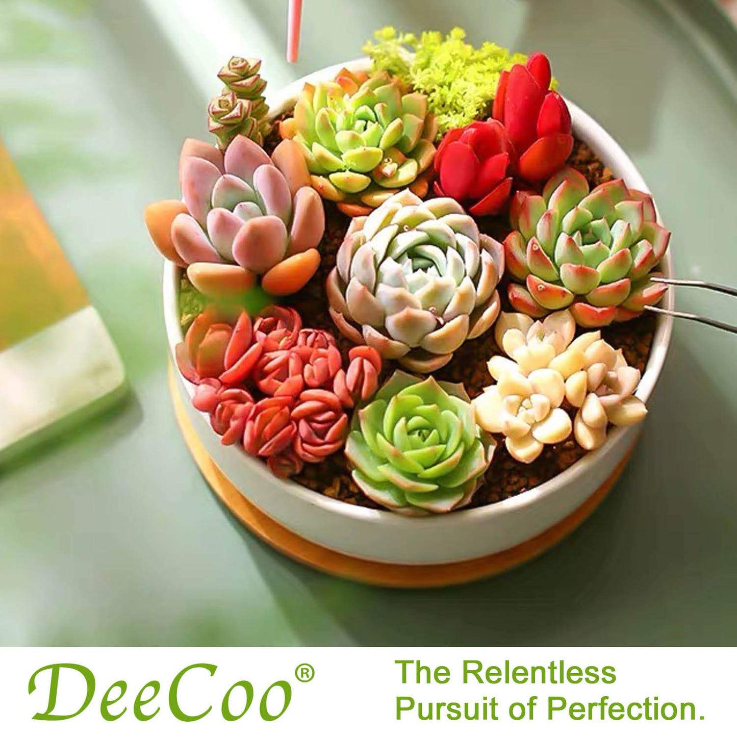 DeeCoo Succulent Pots, White Ceramic Flower Succulent Planters Pot with Bamboo Tray, 1 Rectangle Flower Pot + 1 Round Flower Pot 6.5" Drainage Hole for Cactus