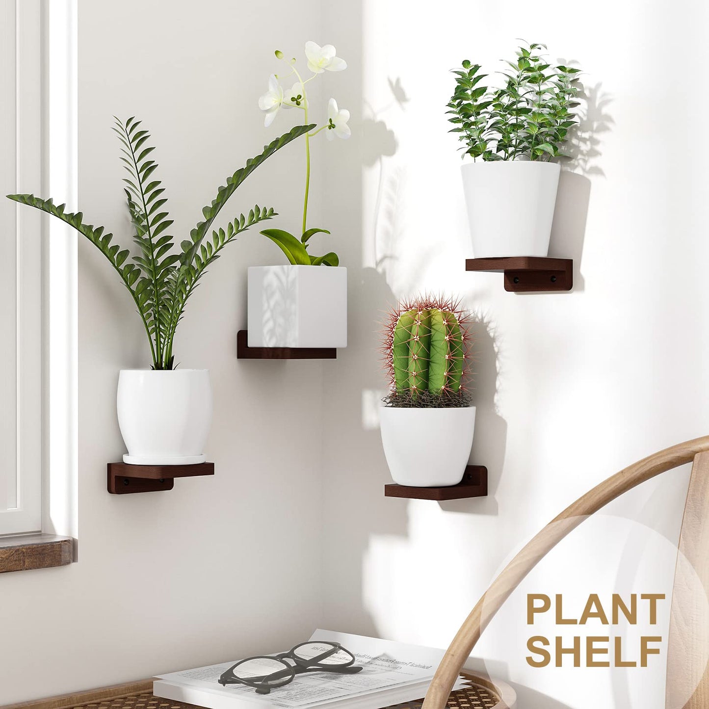 SRIWATANA Small Floating Shelves Wall Mounted, Wood Shelf for Decoration and Storage Set of 4, Mini Display Shelf for Bedroom, Bathroom, Kitchen, Office (Walnut, 4 inch)