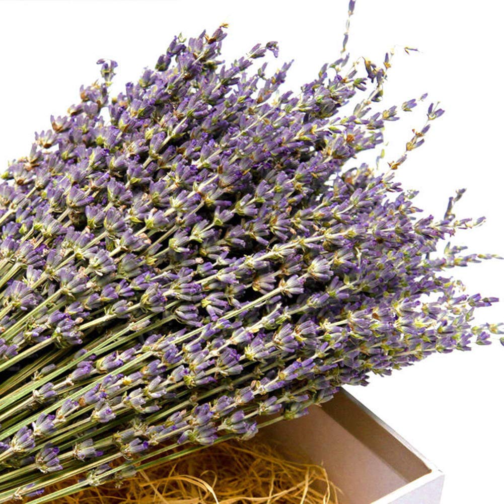 TooGet Natural Lavender Bundles, Freshly Harvested 400+ Stems Dried Lavender Bunch 16" - 18" Long, Decorative Flowers Bouquet for Home Decor, Crafts, Gift, Wedding or Any Occasion