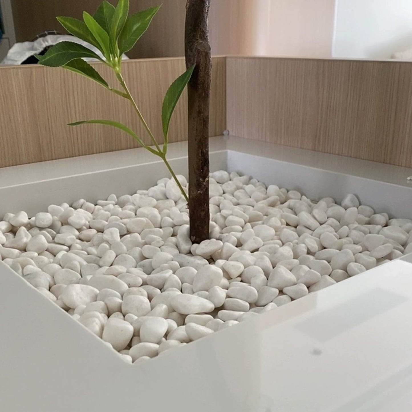 SHIZWU 10lbs White Rocks for Landscaping,1-2 Inch Decorative Pebbles for Plants,River Rocks for Backyard,Flower Beds, Indoor Fountains, Paths, Aquarium Vase,Outdoor Garden