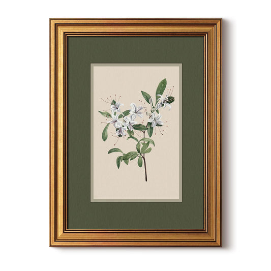 InSimSea Gold Framed Canvas Prints Wall Art, Vintage Nursery Decor, Botanical White Floral Paintings Farmhouse Wall Decor, Antique Minimalist Pictures for Bedroom Living Room Shelf, 12x16inch