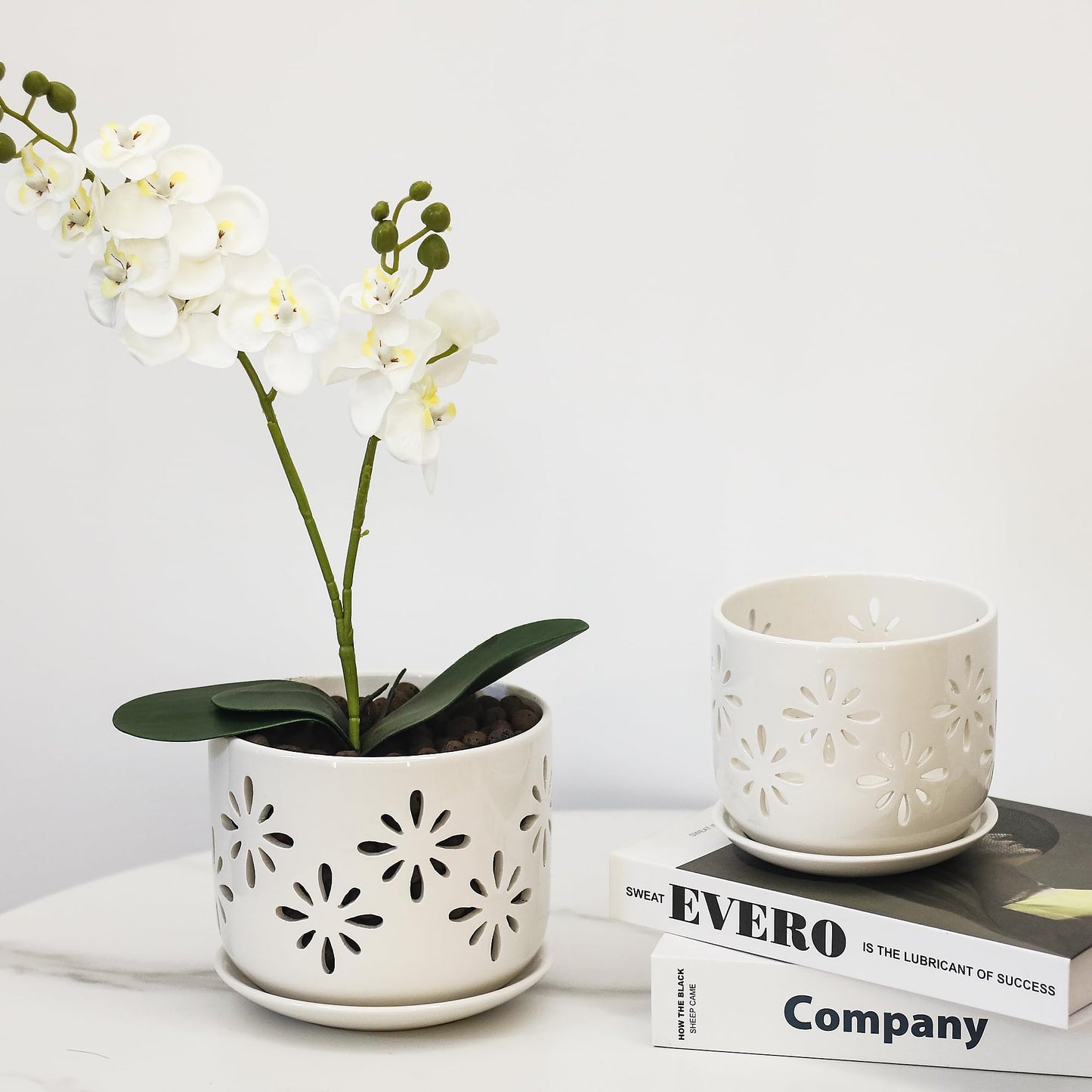 EFISPSS Orchid Pot 5+6 Inch, Ceramic Orchid Pots with Holes, Enhance Good Ventilation and Drainage, Orchid Pots Indoor/Outdoor Plants or Repotting -White