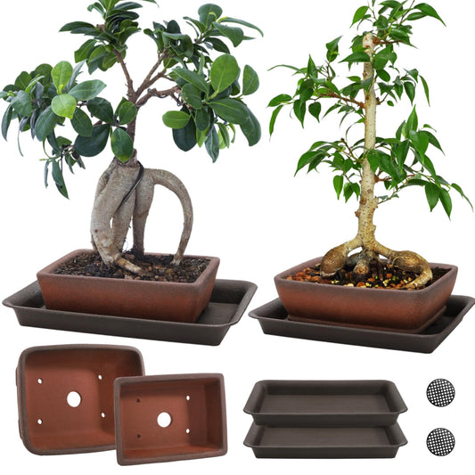 ELFULLY 2 Pack Ceramic Bonsai Pots with Drainage Tray, 6" and 7" Unglazed Rectangle Bonsai Tree Planters, Bonsai Training Pots, Succulent Cactus Planter with Drainage Hole for Outdoor Indoor, Brown
