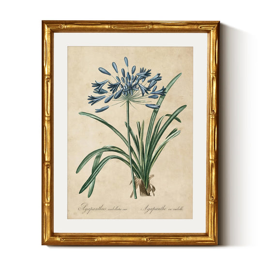 InSimSea Gold Bamboo Framed Canvas Wall Art, Retro Lily Botanical Prints, Antique Moody Picture Frame with Mat, Victorian Home Wall Decor for Kitchen Dining Living Room Bedroom, 11x14inch