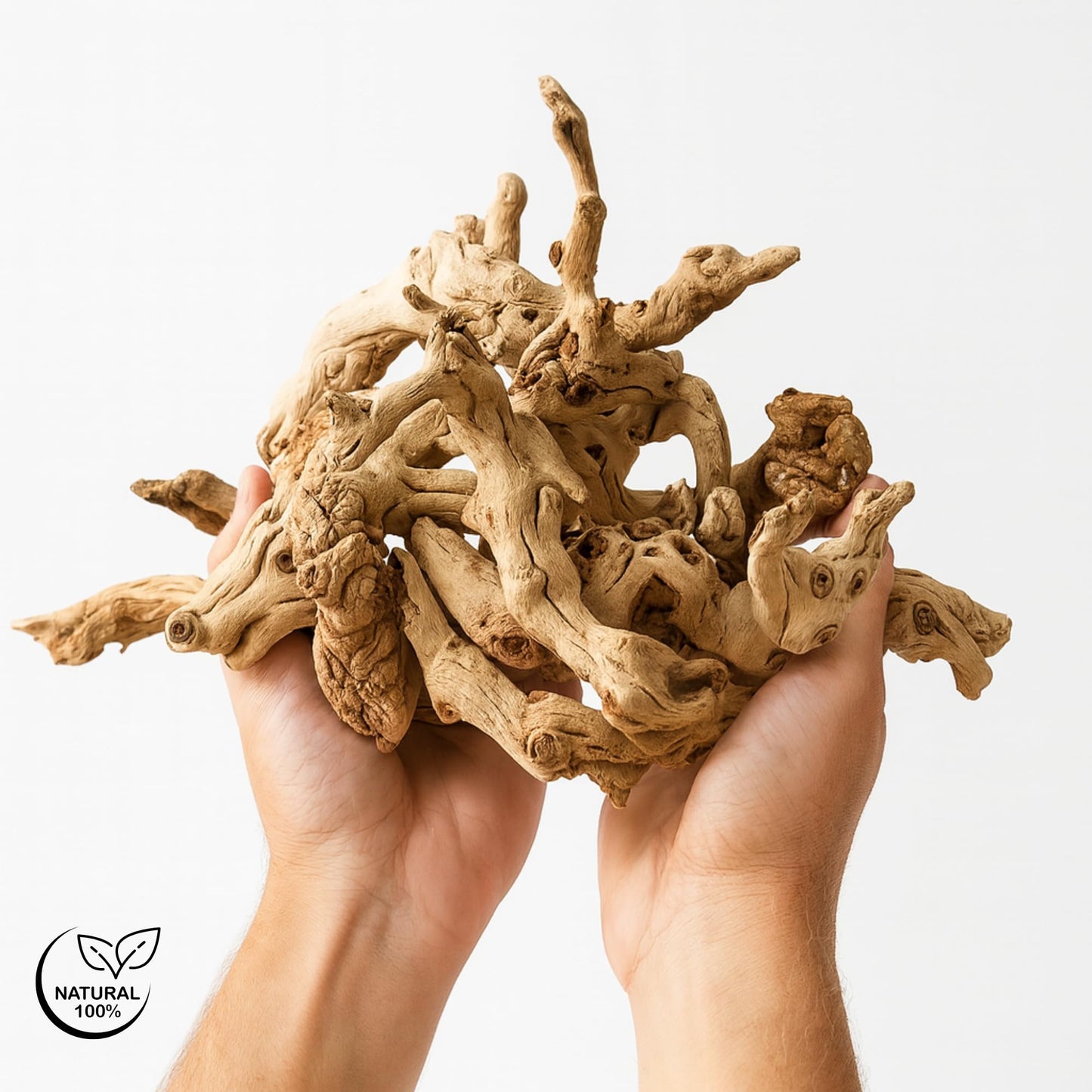 Koyal Wholesale Natural Grapewood Vase Filler Decor, 2.2-Pounds Bulk Vase Filler Branches for Terrariums, DIY Air Plant Kits, Table Scatter