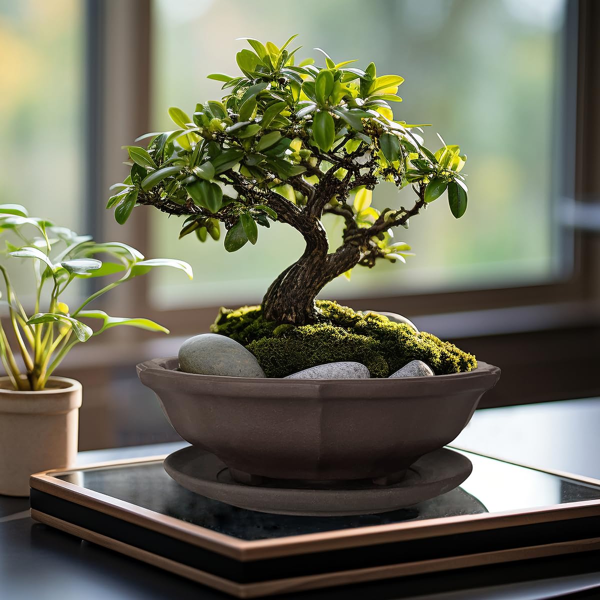 MUZHI 6.8 inch Unglazed Flower Shape Ceramic Bonsai Pot Bowl with Saucer,Classic Retro Zisha Pottery Planter Round for Tree Cactus Succulent Arrangement