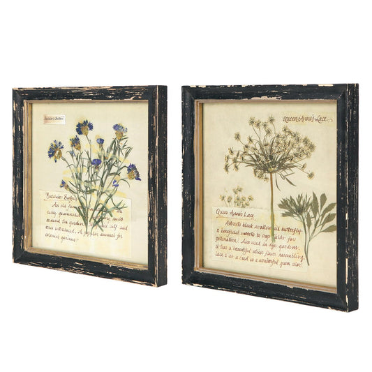 NIKKY HOME Botanical Wall Art Set of 2, Vintage Botanical Prints Wooden Framed Floral Plant Pictures Poster Decor for Bathroom Bedroom Living Room Office, 10x10 Inch