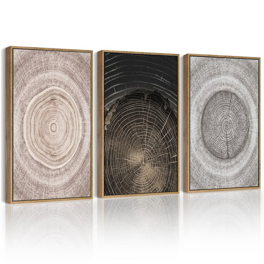 PHOPAGO Vintage Wood Tree Rings Wall Art Farmhouse Rustic Framed Canvas Paintings Living Room Bedroom Decor Nature Artwork 11x14in Natural Framed