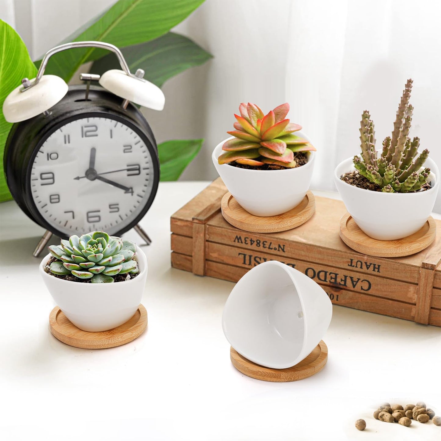 Foraineam 12 Pack Mini Succulent Planter Pots, Small Ceramic Cactus Planters White Plant Flower Pots with Bamboo Tray for Herbs, Seeds, Beans, Cacti, Succulents