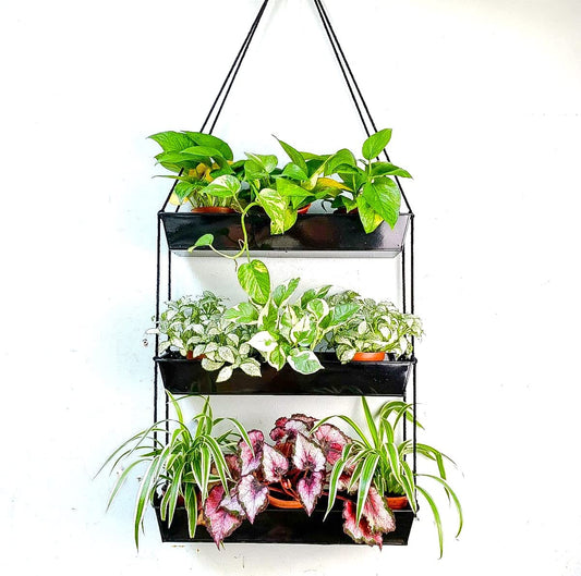 LaLaGreen 16 Inch Wall Mounted Tiered Planter for Indoor Succulent Plants, 3 Tier Modern Black Rectangular Metal Planter