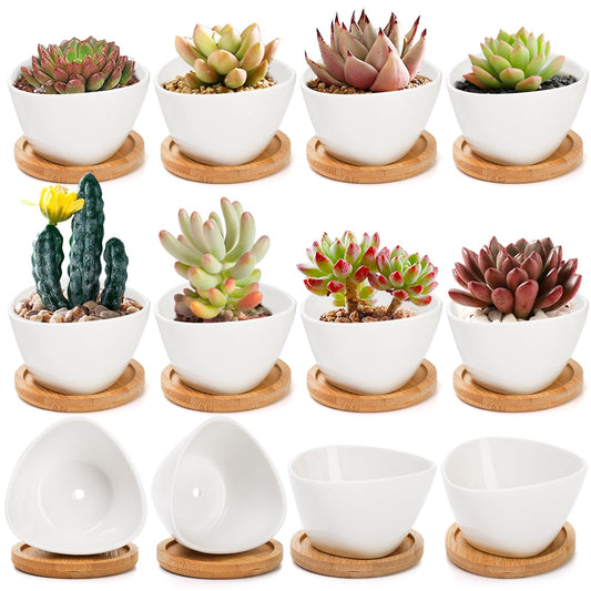 Foraineam 12 Pack Mini Succulent Planter Pots, Small Ceramic Cactus Planters White Plant Flower Pots with Bamboo Tray for Herbs, Seeds, Beans, Cacti, Succulents