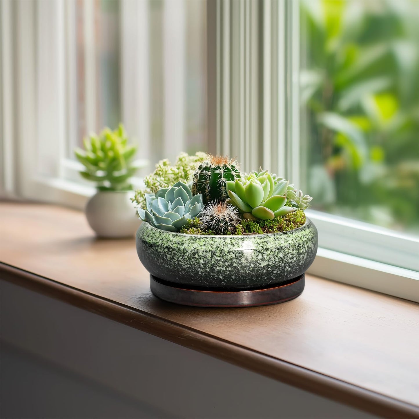 EPFamily Succulent Pots 6 Inch - Ceramic Bonsai Pots with Drainage Hole and Saucer, Succulent Planters for Indoor Outdoor, Small Shallow Planter, Round Cactus Pot, Room Decor, Plant Lover Gift, Green