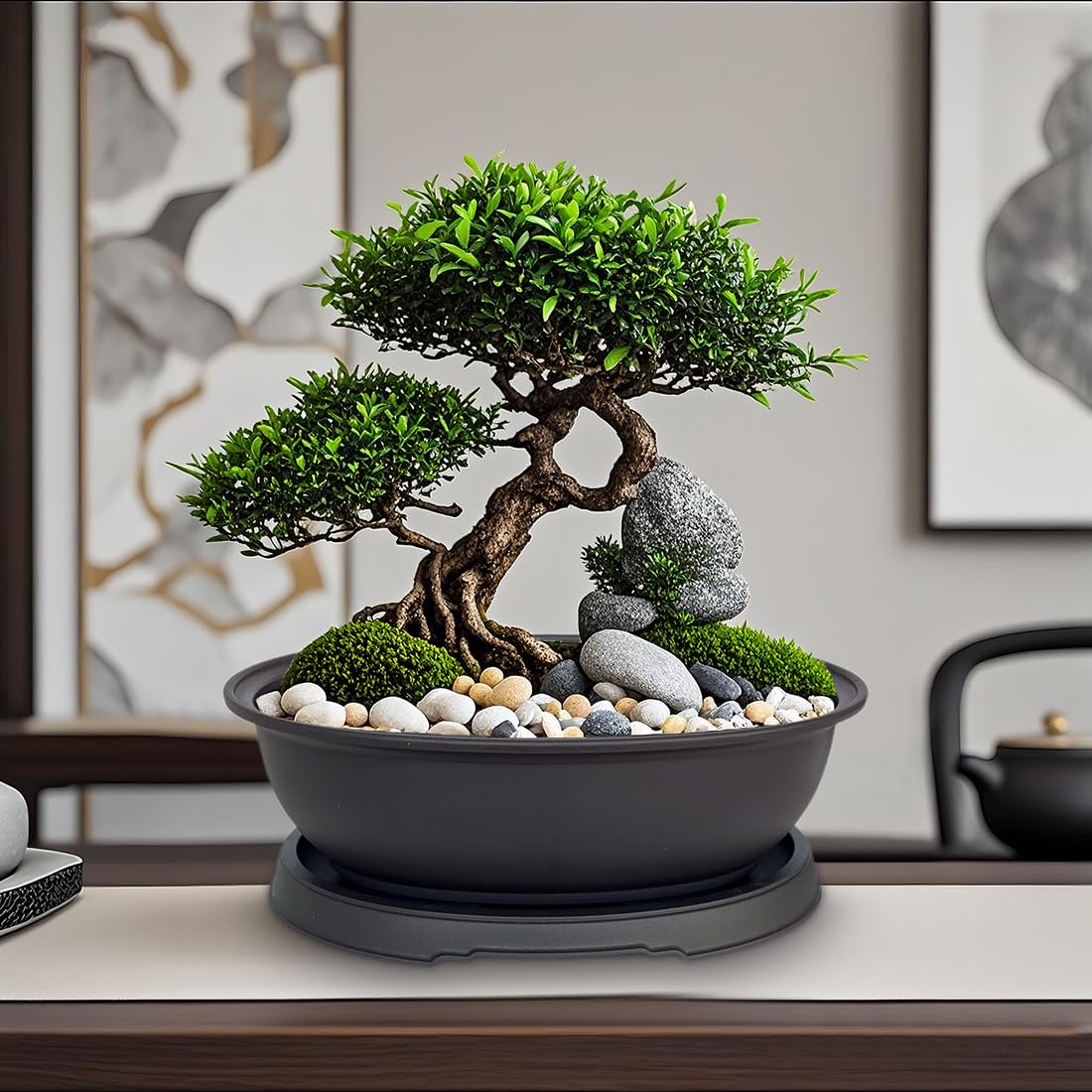 MUZHI 3 Pack Mixed Size Oval Bonsai Planter Pot with Drainage Tray, Matte Finish Ellipse Plastic Bonsai Succulent Growing Pot for Home Garden Plant Container 9.1” 7.2” 5.2”