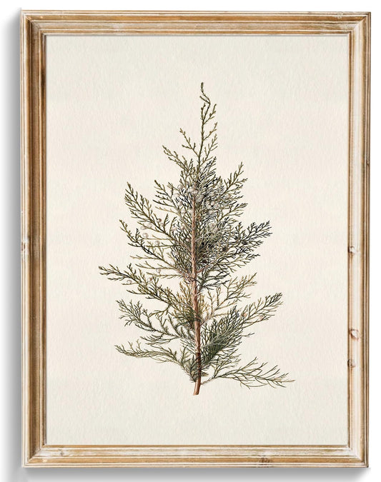 uniro Vintage Christmas Tree Wall Art Prints, Neutral Rustic Cypress Tree Christmas Artwork Painting, Farmhouse Winter Holiday Print for Bedroom, Living Room, Kitchen, Office, Dormitory, Hallway