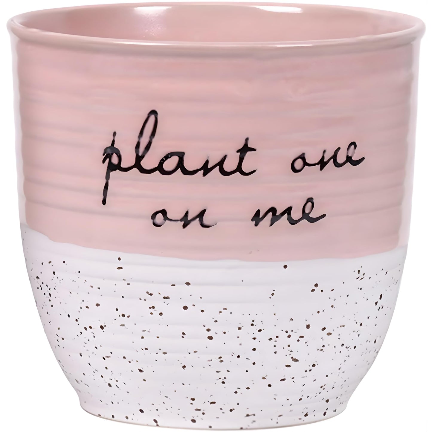 Blue Sky Clayworks Patricia 5" Flower Pot, Ceramic, 6" D x 5" H, Blush Script & Speckles
