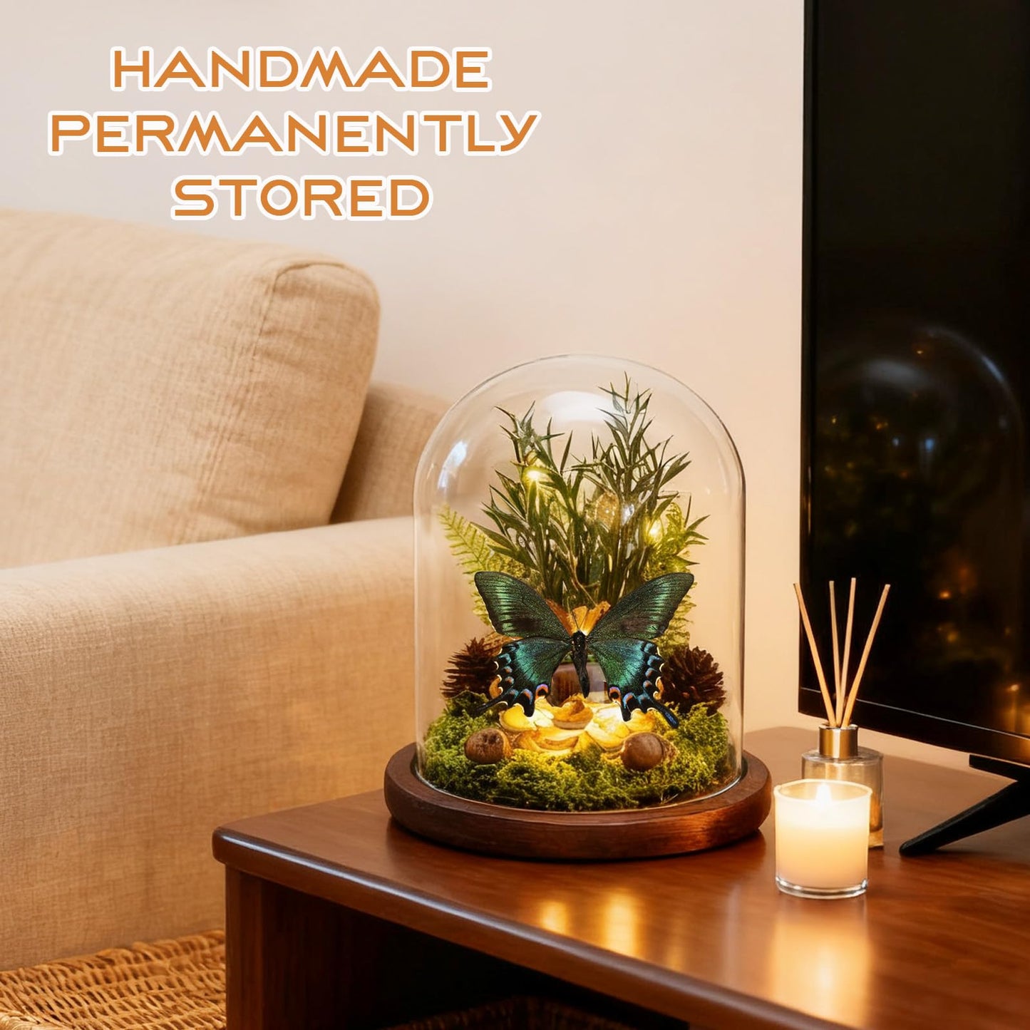 Glass Taxidermy Butterfly Shadow Box Shelf Decor, Nature Gifts for Women Girls, Light Up Butterfly Table Decor for Office Living Room Kitchen Entryway Bookshelf Desk (Not Include Battery)