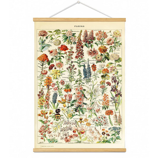 BAEMEFLE Vintage Flowers Poster Hanger Frame, Plant Floral Reference Chart Wall Decor Cottagecore Room Decor Aesthetic, Retro Style Wall Decor Art Painting Prints. (plant D, 18L x 12W)