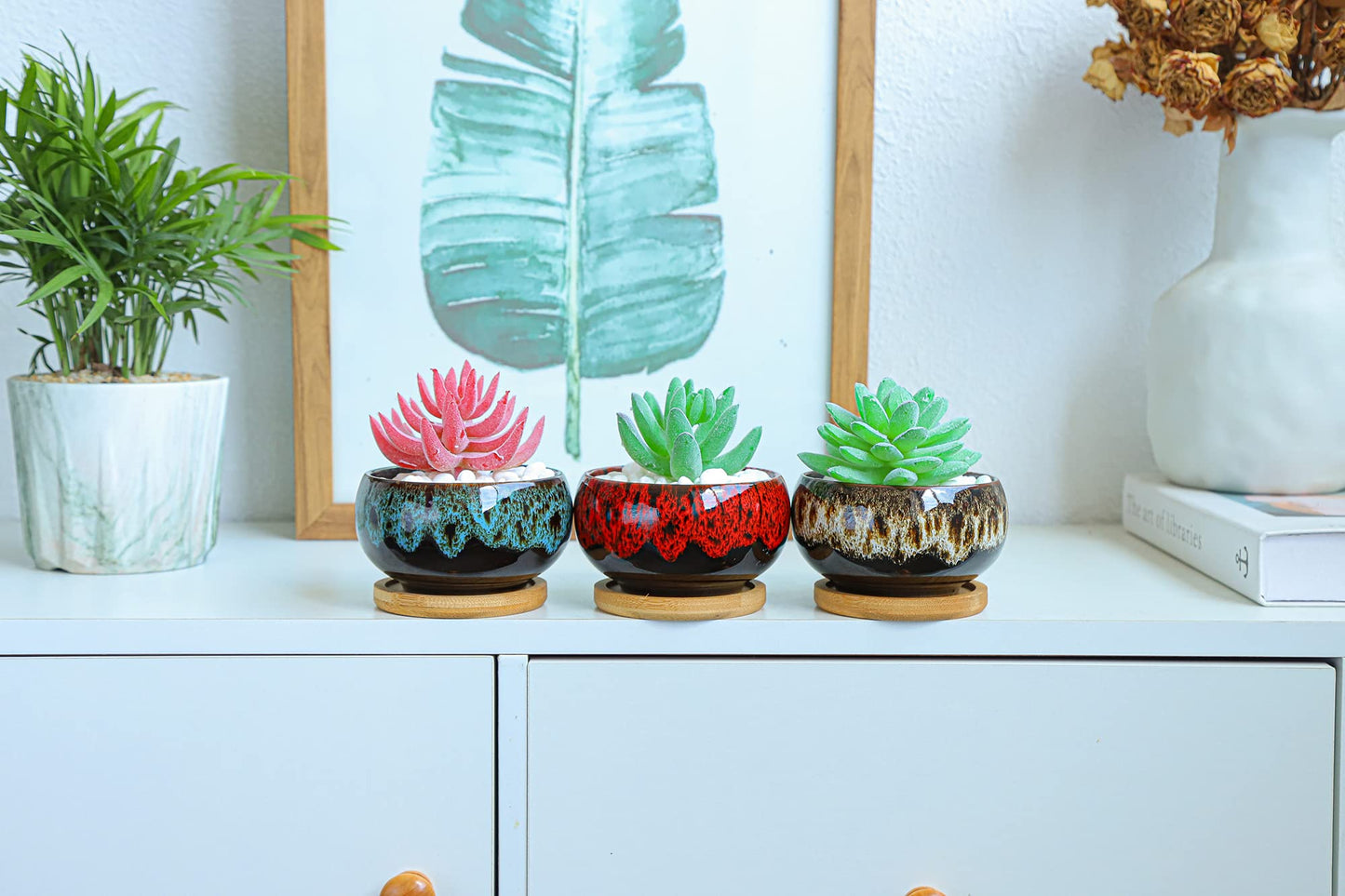 LamDawn Cute Ceramic Succulent Garden Pots, Planter with Drainage and Attached Saucer, Set of 5 -Plants Not Included (Round)