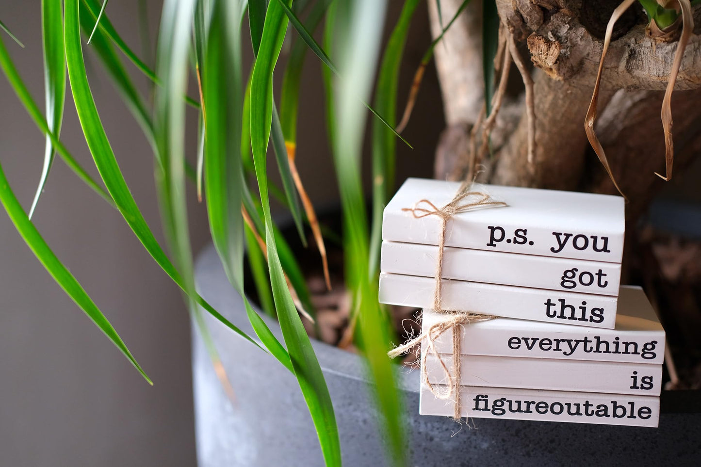 RUKEJUNE Cute Office Desk Decor, Inspirational Wooden Mini Faux Books for Decoration, Gifts for Women Kids - P.S. You Got This Sign