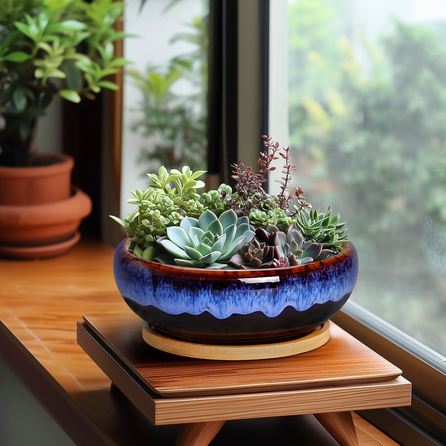 SQOWL 7 Inch Round Ceramic Succulent Planter Pot Drip Glazed Shallow Planter with Drainage Bamboo Tray for Indoor Plants