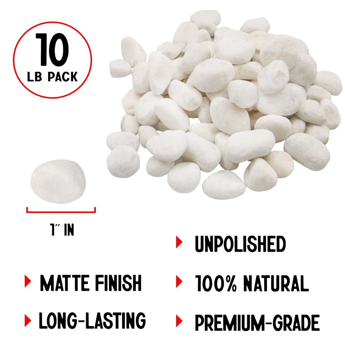 Unpolished White Pebbles 10 Lb. - 1 inch Pebbles for Plants, Gardens, Fish Tank Gravel, Décor, Landscaping, Succulent, Terrarium, 100% Natural Stone Pebbles Decorative Rocks, Matte White Finish