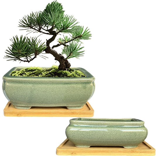 MUZHI 2pcs Green Ceramic Bonsai Planter Pots with Bamboo Tray 6.2 “ & 5.3”, Rectangular Glazed Bonsai & Succulent Cactus Starter Pot with Drainage Ice Crack Design