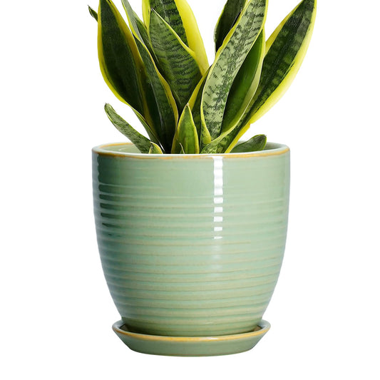EPFamily Ceramic Plant Pots - 6 Inch Ceramic Planter with Drainage Hole and Saucer, Modern Planters for Indoor Outdoor Plants, Round Flower Pots, Office House Decor, Gifts for Women Men, Bright Green