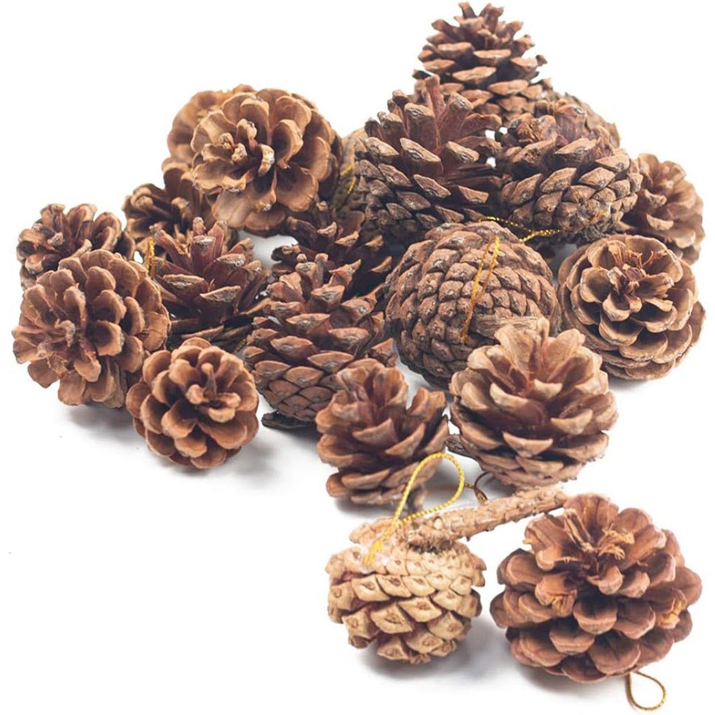 JOHOUSE 18PCS Hanging Natural Pine Cones (1.5"–2.5"), Rustic Pinecones with Strings for Garland, Wreath Making, Vase/Bowl Filler Spring Decor