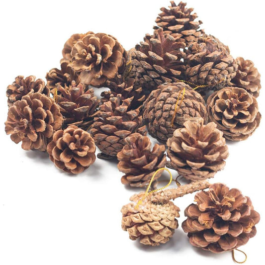 JOHOUSE 18PCS Hanging Natural Pine Cones (1.5"–2.5"), Rustic Pinecones with Strings for Garland, Wreath Making, Vase/Bowl Filler Spring Decor