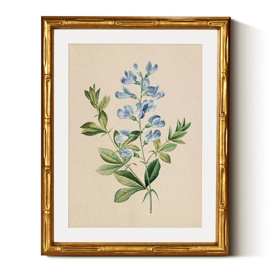 InSimSea Gold Bamboo Framed Canvas Wall Art, Vintage Rosa Chiba Flower Botanical Prints, Farmhouse Picture Frame with Mat, Victorian Home Wall Decor for Kitchen Living Room Bedroom, 11x14inch