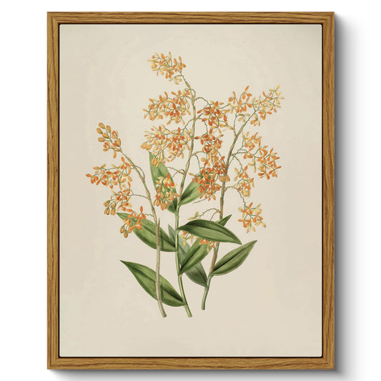 ARPEOTCY Vintage Framed Botanical Wall Art, Bedroom Bathroom Floral Pictures Art Decor, Kitchen Wall Decor, Canvas Print Retro Paintings, Home Rustic Farmhouse Decorations, 8x10 Inch