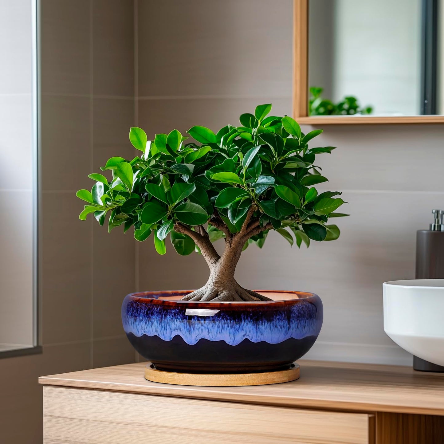 SQOWL 7 Inch Round Ceramic Succulent Planter Pot Drip Glazed Shallow Planter with Drainage Bamboo Tray for Indoor Plants