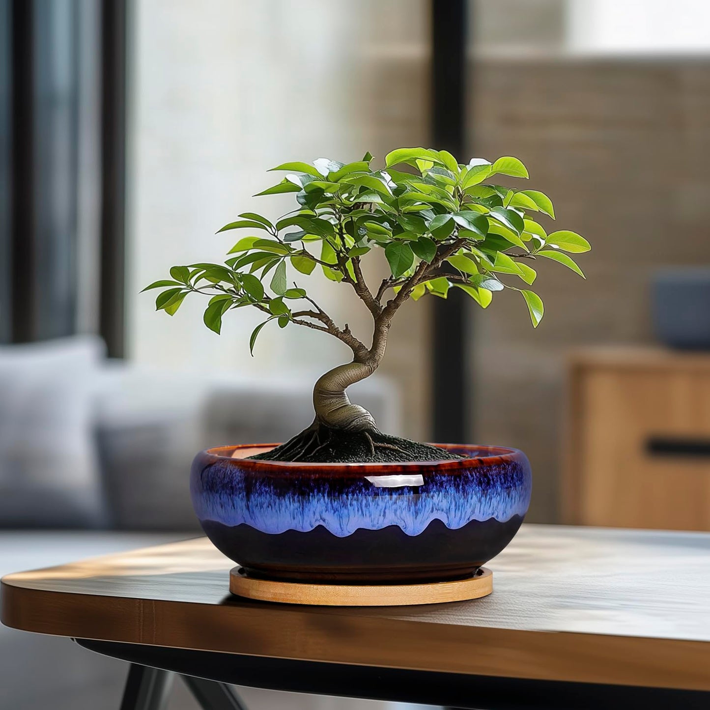 SQOWL 7 Inch Round Ceramic Succulent Planter Pot Drip Glazed Shallow Planter with Drainage Bamboo Tray for Indoor Plants