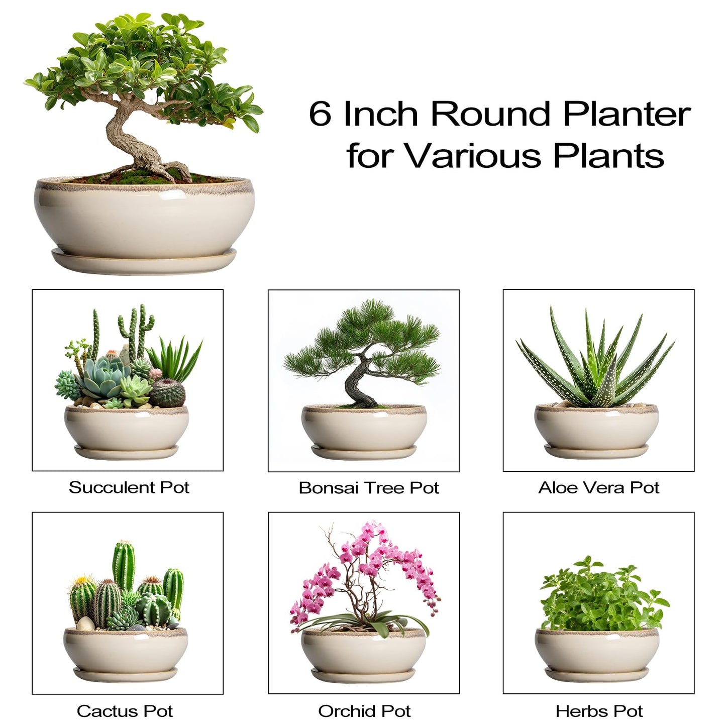 SQOWL Small Bonsai Pots - 6 Inch Ceramic Plant Pots for Succulents, Shallow Planter with Drainage Hole and Saucer, Round Planters for Indoor Outdoor Cactus Plants, House Decor, Birthday Gifts, Beige
