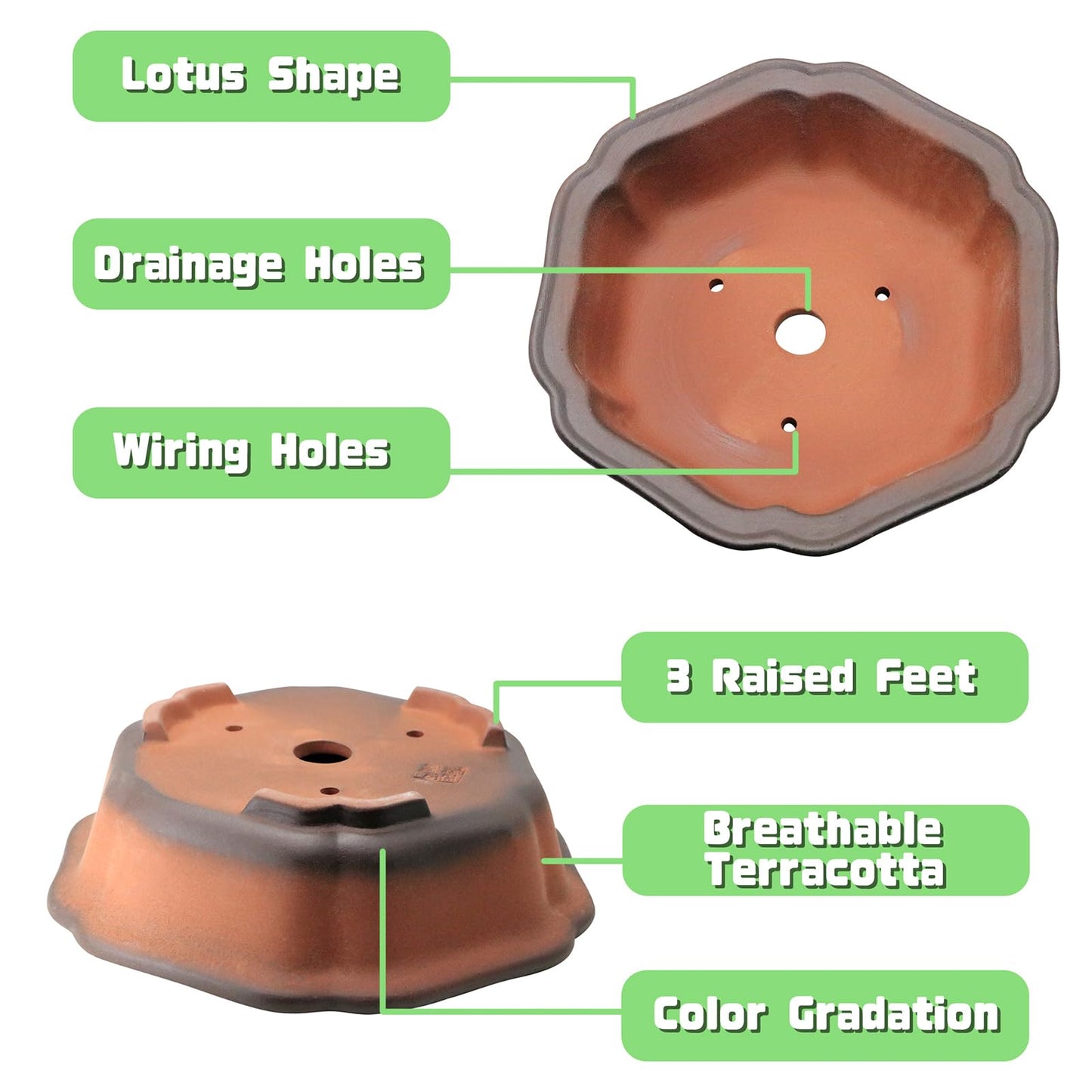 MUZHI 7.5” Unglazed Flower Shape Clay Bonsai Pot with Ceramic Saucer, Color Gradational Shallow Terracotta Planter for Tree Cactus Succulent Arrangement