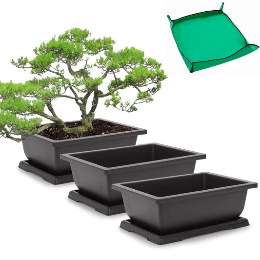 GROWNEER Bonsai Pots 3 Packs 11 Inch Bonsai Tree Training Pot with Humidity Drainage Trays & Repotting Mat Rectangle Planter Plants Starter Kit Growing for Garden Yard Office Indoor Outdoor