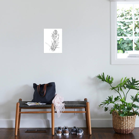 ART.COM Wall Art Prints Botanical Sketch VI by Ethan Harper, Botanical Decor, 12" x 16"