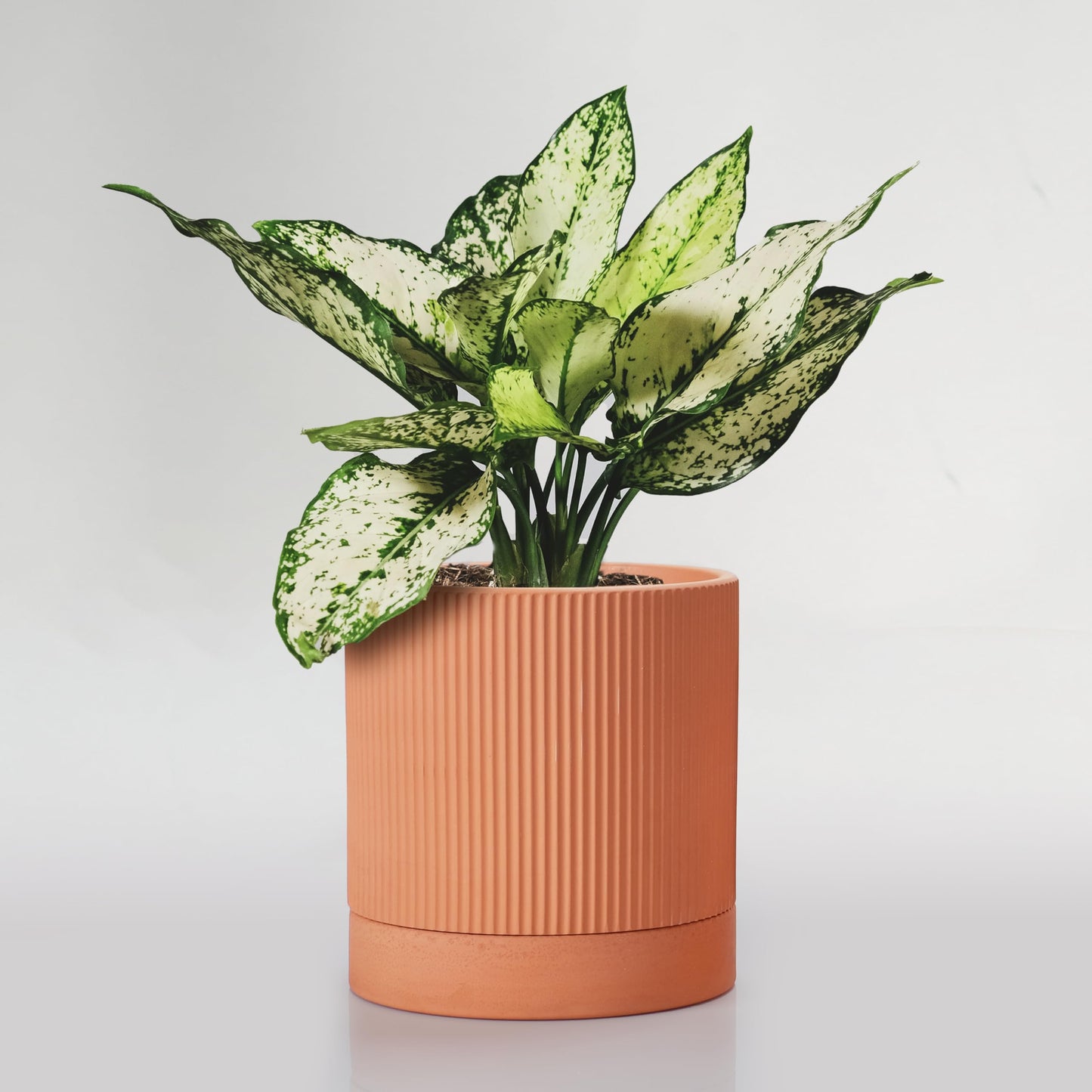 HERDUK Modern Terracotta Pots, 6 Inch Ribbed Textured Clay Planter Pots with Drainage Hole & Saucer, Garden Pots for Indoor/Ourdoor Plants, Succulent Cactus & Herb