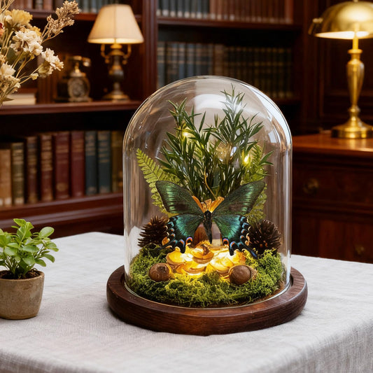 Glass Taxidermy Butterfly Shadow Box Shelf Decor, Nature Gifts for Women Girls, Light Up Butterfly Table Decor for Office Living Room Kitchen Entryway Bookshelf Desk (Not Include Battery)